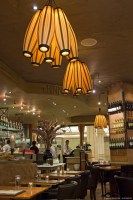 Cotton - pendant light - passion 4 wood - tulip and walnut wood - decorative lighting ideal for bars, restaurant or for the home